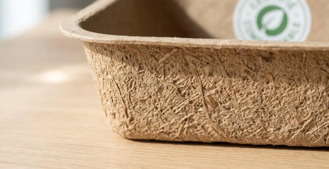Vue rapprochée de la texture fibreuse naturelle d'une barquette kraft vide posée sur une surface en bois clair, avec un arrière-plan flouté laissant deviner un logo de certification
